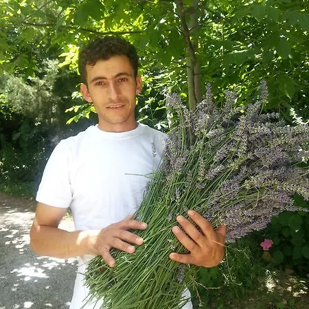 Nisanyan 3* Selcuk