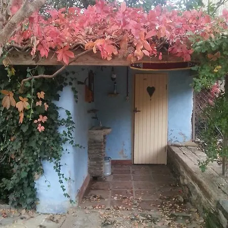Nisanyan
