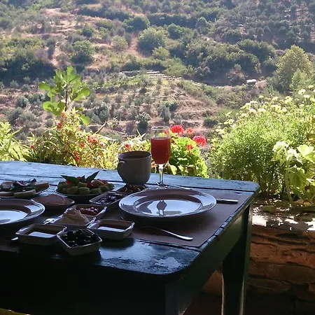 Nisanyan Selcuk