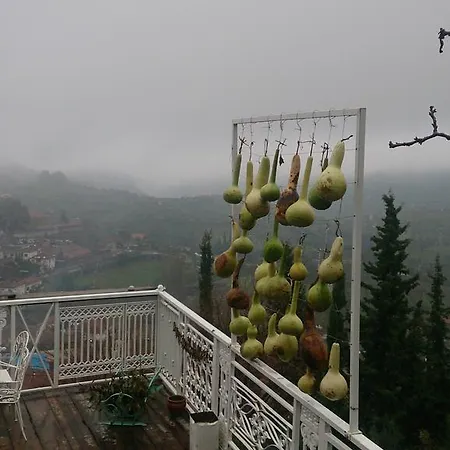 Nisanyan Selcuk