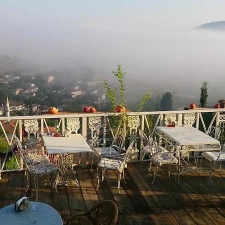 Nisanyan Σελτσούκ