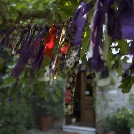 Nisanyan Ξενοδοχείο Σελτσούκ