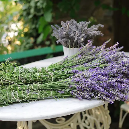 Nisanyan Ξενοδοχείο 3*