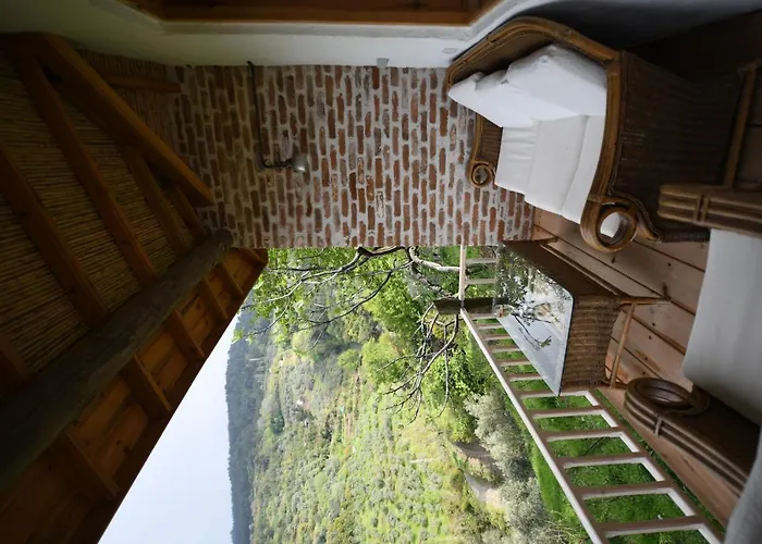 Nisanyan 3* Selçuk