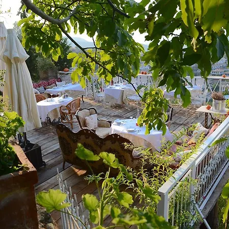 Nisanyan Selçuk