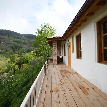 Nisanyan Сельчук