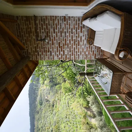 Nisanyan 3* Сельчук