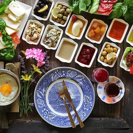 Nisanyan סלצ'וק