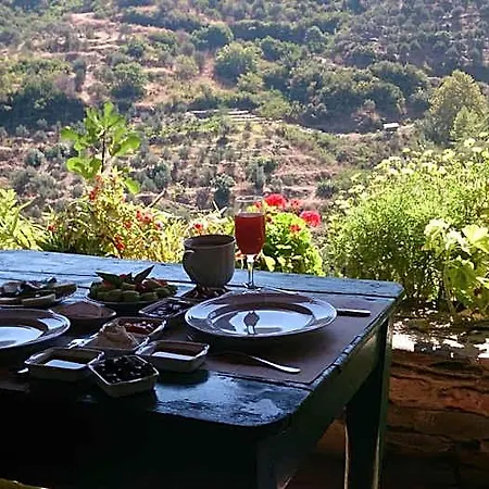 Nisanyan