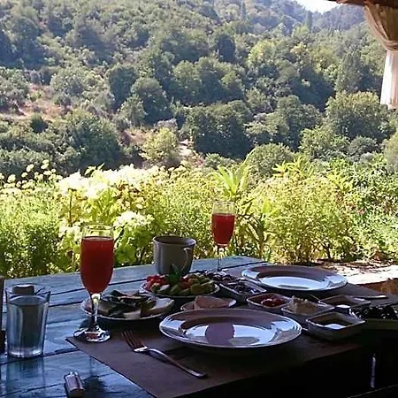 Nisanyan 호텔