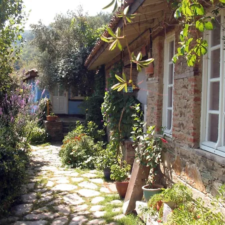 Nisanyan 3* Selçuk