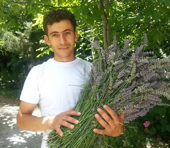 Nisanyan 3* 셀주크